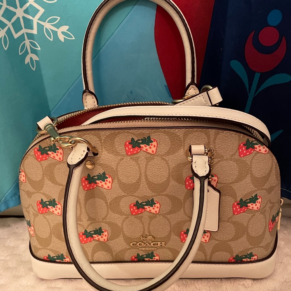 Coach Handbag